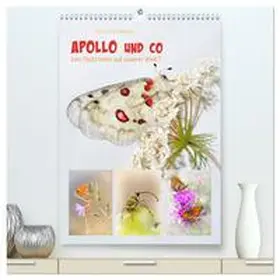 CALVENDO / Schmidbauer |  APOLLO UND CO (hochwertiger Premium Wandkalender 2025 DIN A2 hoch), Kunstdruck in Hochglanz | Sonstiges |  Sack Fachmedien