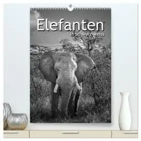 CALVENDO / STYPPA |  Elefanten in schwarz-weiss (hochwertiger Premium Wandkalender 2025 DIN A2 hoch), Kunstdruck in Hochglanz | Sonstiges |  Sack Fachmedien