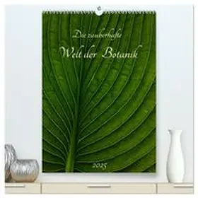 CALVENDO / Pohl |  Die zauberhafte Welt der Botanik (hochwertiger Premium Wandkalender 2025 DIN A2 hoch), Kunstdruck in Hochglanz | Sonstiges |  Sack Fachmedien