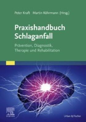 Kraft / Köhrmann | Praxishandbuch Schlaganfall | E-Book | sack.de