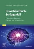 Kraft / Köhrmann |  Praxishandbuch Schlaganfall | eBook | Sack Fachmedien