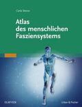 Stecco |  Atlas des menschlichen Fasziensystems | eBook | Sack Fachmedien