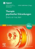Voderholzer |  Therapie psychischer Erkrankungen | Buch |  Sack Fachmedien