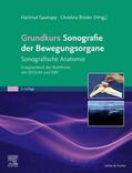 Gaulrapp / Binder-Jovanovic / Binder |  Grundkurs Sonografie der Bewegungsorgane | Buch |  Sack Fachmedien