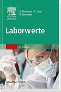 Dormann / Isermann / Heer |  Laborwerte | Buch |  Sack Fachmedien