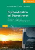 Pitschel-Walz / Bäuml / Kissling |  Psychoedukation bei Depressionen | Buch |  Sack Fachmedien