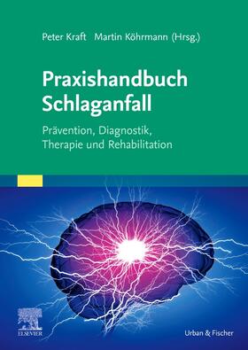 Kraft / Köhrmann |  Praxishandbuch Schlaganfall | Buch |  Sack Fachmedien