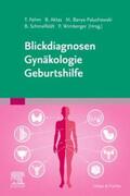 Aktas / Fehm / Banys-Paluchowski |  Blickdiagnosen Gynäkologie/ Geburtshilfe | Buch |  Sack Fachmedien