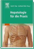 Pape / Göke |  Hepatologie für die Praxis | Buch |  Sack Fachmedien