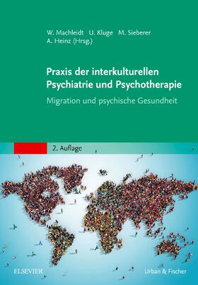 Machleidt / Kluge / Sieberer |  Praxis der interkulturellen Psychiatrie und Psychotherapie | Buch |  Sack Fachmedien