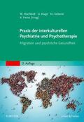 Machleidt / Kluge / Sieberer |  Praxis der interkulturellen Psychiatrie und Psychotherapie | Buch |  Sack Fachmedien