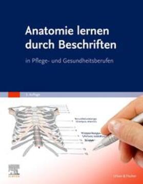 Elsevier GmbH | Anatomie lernen durch Beschriften | Buch | 978-3-437-25082-8 | sack.de