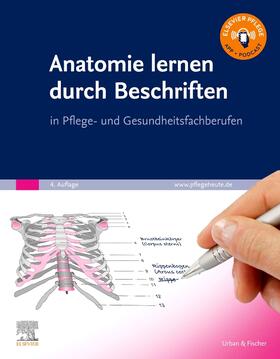 Werner | Anatomie lernen durch Beschriften | Buch | 978-3-437-25083-5 | sack.de