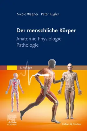 Kugler / Wagner | Der menschliche Körper | Buch | 978-3-437-25195-5 | sack.de