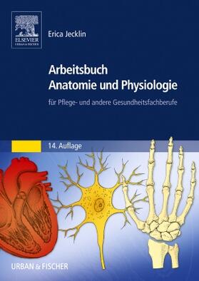 Brühlmann-Jecklin / Jecklin | Arbeitsbuch Anatomie und Physiologie | Buch | 978-3-437-26983-7 | sack.de