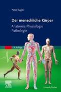 Kugler |  Der menschliche Körper | Buch |  Sack Fachmedien