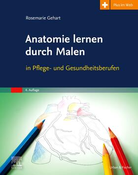 Gehart | Anatomie lernen durch Malen | Buch | 978-3-437-28573-8 | sack.de