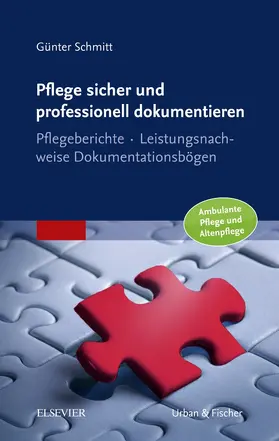 Schmitt |  Pflege sicher und professionell dokumentieren | Buch |  Sack Fachmedien
