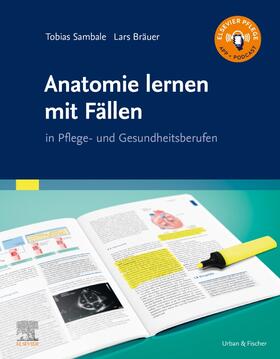 Sambale / Bräuer | Anatomie lernen mit Fällen | Buch | 978-3-437-28780-0 | sack.de