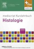 Holtmann / Kreft |  mediscript Kurzlehrbuch Histologie | eBook | Sack Fachmedien