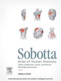 Paulsen / Waschke |  Sobotta Tables of Muscles, Joints and Nerves | eBook | Sack Fachmedien