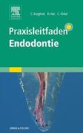 Bargholz / Hör / Zirkel |  Praxisleitfaden Endodontie | Buch |  Sack Fachmedien