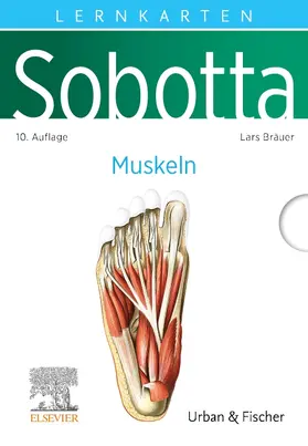 Bräuer | Sobotta Lernkarten Muskeln | Buch | 978-3-437-41163-2 | sack.de