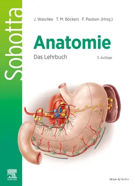 Böckers / Paulsen / Waschke | Sobotta Anatomie - Das Lehrbuch | Buch | 978-3-437-41187-8 | sack.de