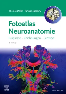 Deller / Sebestény / Eichler |  Fotoatlas Neuroanatomie | Buch |  Sack Fachmedien
