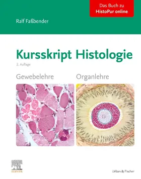 Faßbender | Kursskript Histologie | Buch | 978-3-437-41262-2 | www.sack.de