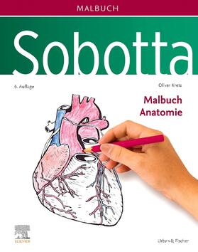 Kretz / Schmidt | Sobotta Malbuch Anatomie | Buch | 978-3-437-41264-6 | sack.de