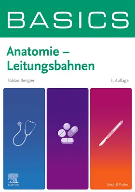 Rengier | BASICS Anatomie - Leitungsbahnen | Buch | 978-3-437-41271-4 | sack.de