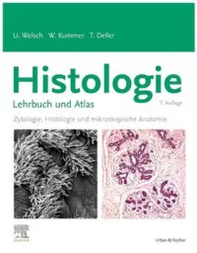 Welsch / Kummer / Deller |  Histologie - Lehrbuch und Atlas | Buch |  Sack Fachmedien