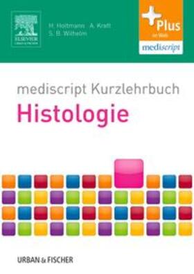 Holtmann / Kreft / Wilhelm | mediscript Kurzlehrbuch Histologie | Buch | 978-3-437-41713-9 | sack.de