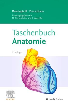 Drenckhahn / Waschke / Benninghoff | Taschenbuch Anatomie | Buch | 978-3-437-42303-1 | sack.de