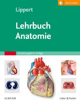 Lippert | Lehrbuch Anatomie | Buch | 978-3-437-42363-5 | sack.de