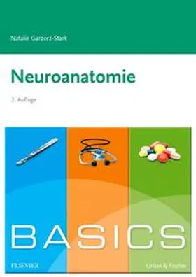 Garzorz-Stark | Basics Neuroanatomie | Buch | 978-3-437-42458-8 | www.sack.de