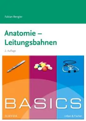 Rengier | BASICS Anatomie - Leitungsbahnen | Buch | 978-3-437-42507-3 | www.sack.de