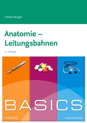 Rengier | BASICS Anatomie - Leitungsbahnen | Buch | 978-3-437-42507-3 | sack.de