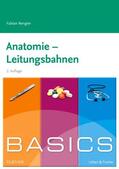 Rengier |  BASICS Anatomie - Leitungsbahnen | Buch |  Sack Fachmedien