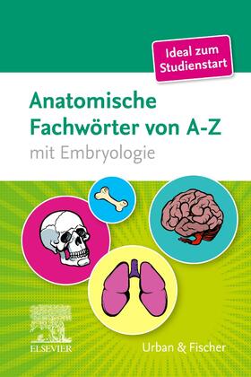 Kriegel | Anatomische Fachwörter von A-Z | Buch | 978-3-437-43196-8 | sack.de