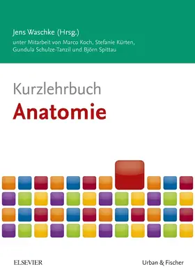 Koch / Waschke / Kürten |  Kurzlehrbuch Anatomie | Buch |  Sack Fachmedien