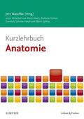 Koch / Waschke / Kürten |  Kurzlehrbuch Anatomie | Buch |  Sack Fachmedien