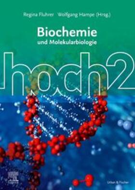 Fluhrer / Hampe | Biochemie hoch2 | Buch | 978-3-437-43431-0 | sack.de