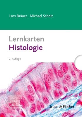 Bräuer / Scholz | Lernkarten Histologie | Sonstiges | 978-3-437-43624-6 | sack.de