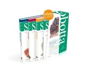 Paulsen / Waschke |  Sobotta, Atlas der Anatomie - 3 Bände und Tabellenheft im Schuber | Buch |  Sack Fachmedien