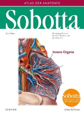 Sobotta / Waschke / Paulsen | Waschke, J: Sobotta, Atlas der Anatomie  Band 2 | Buch | 978-3-437-44022-9 | sack.de