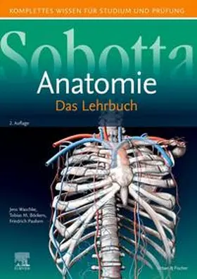Böckers / Paulsen / Waschke | Sobotta Lehrbuch Anatomie | Buch | 978-3-437-44081-6 | sack.de