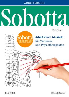 Wagner | Sobotta Arbeitsbuch Muskeln | Buch | 978-3-437-44101-1 | sack.de
