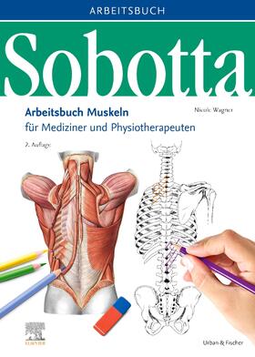 Wagner | Sobotta Arbeitsbuch Muskeln | Buch | 978-3-437-44102-8 | sack.de